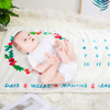 Monthly Calendar Commemorate Milestone Newborn Gift Unisex Organic Knit Baby Blanket