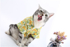 Hawaiian Style Cat Cats T-Shirt Dog Clothes Summer Printed Hawaiian Pet Shirt